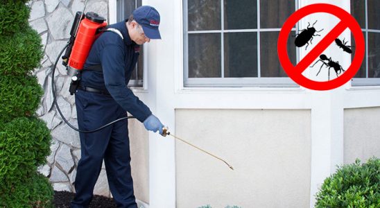Özalp Karınca İlaçlama böcek ilaçlama ve haşere kontrolü — ilaclama-tr.com